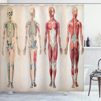 Tenda da Doccia Anatomia Corpo Umano